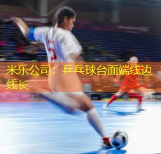 米乐公司：乒乓球台面端线边线长