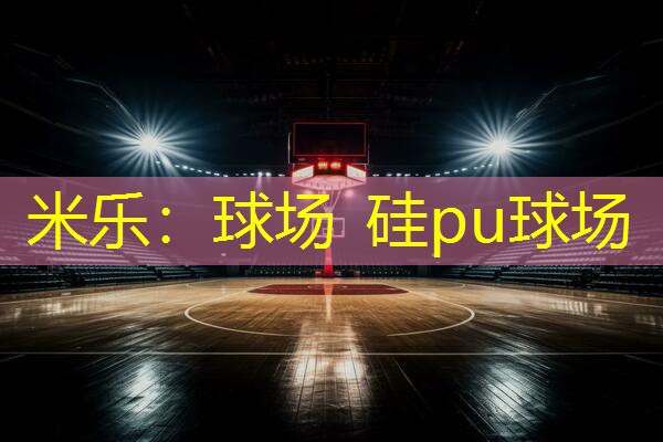 米乐：球场 硅pu球场