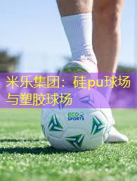 米乐集团：硅pu球场与塑胶球场