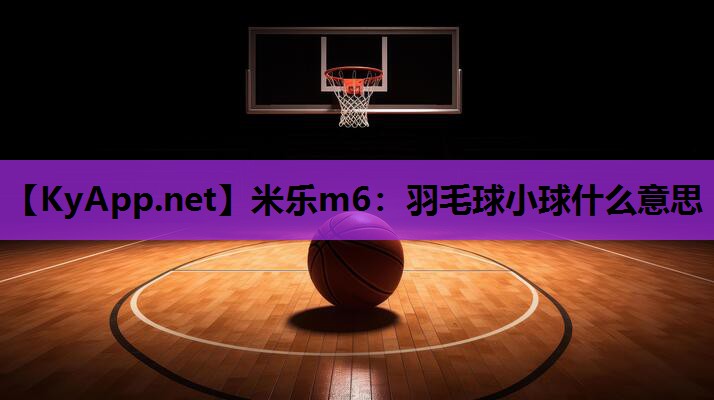 羽毛球小球什么意思